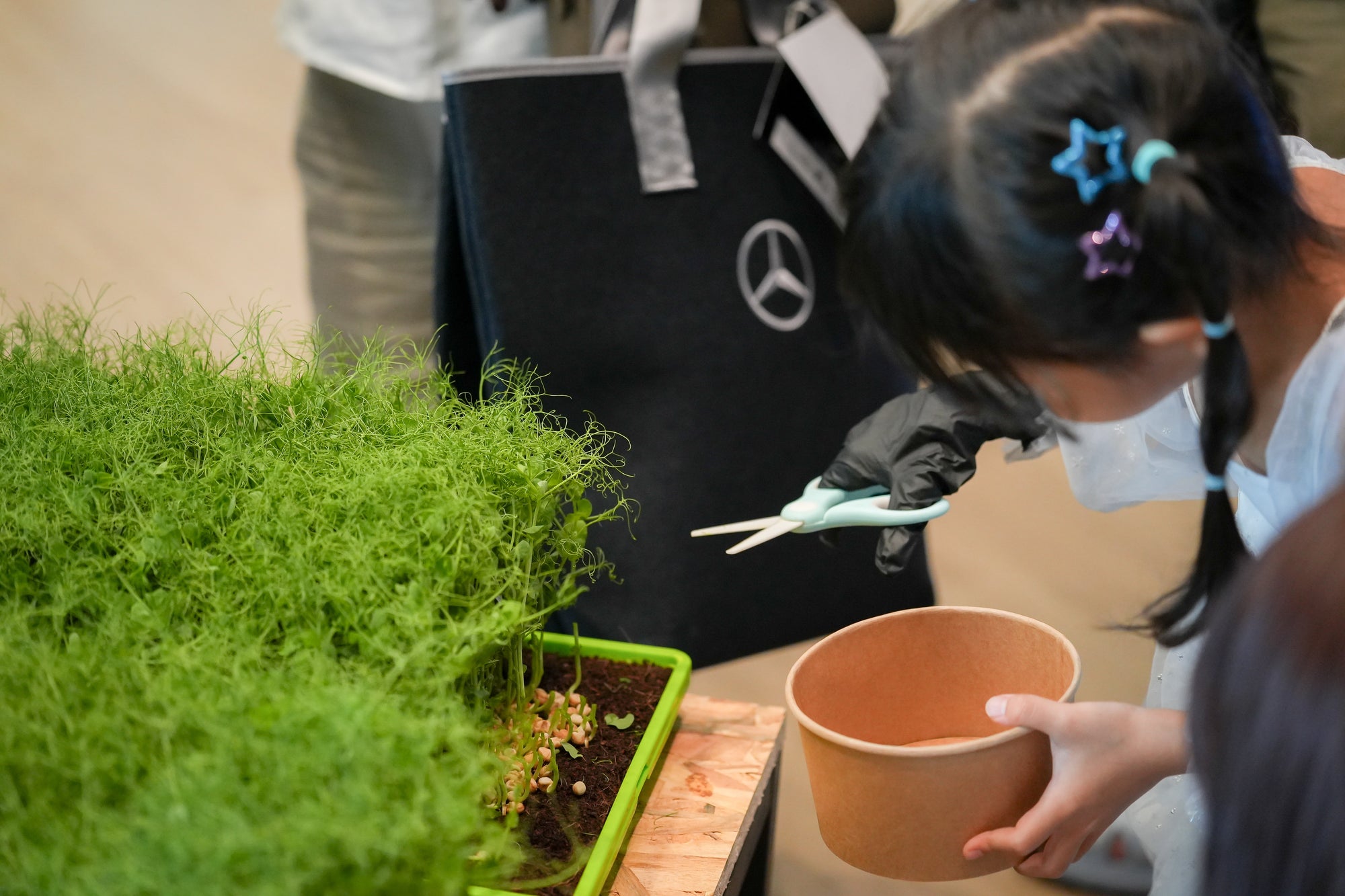 Harvesting Experience at GreenLoopFarms Corporate Event
