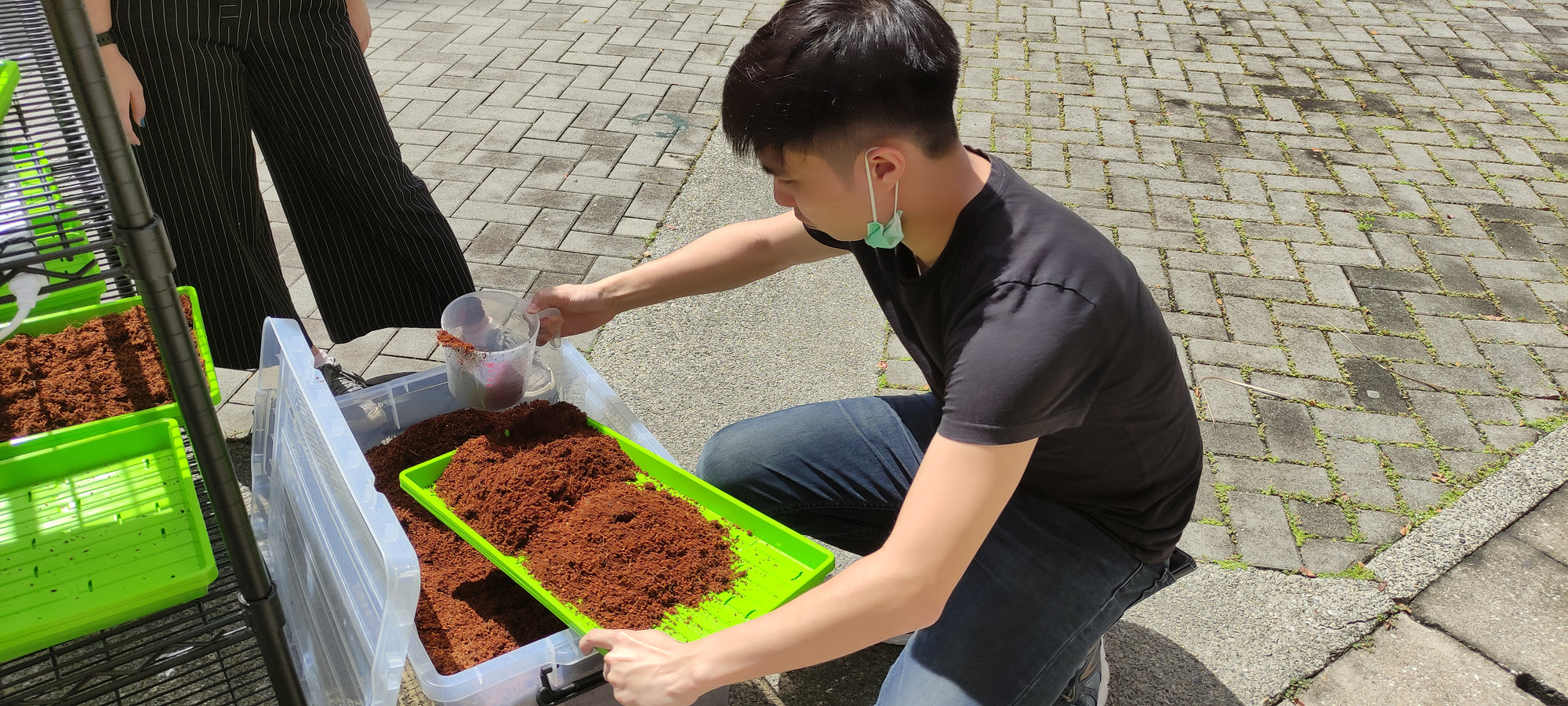 Man pouring soil into a green planting tray