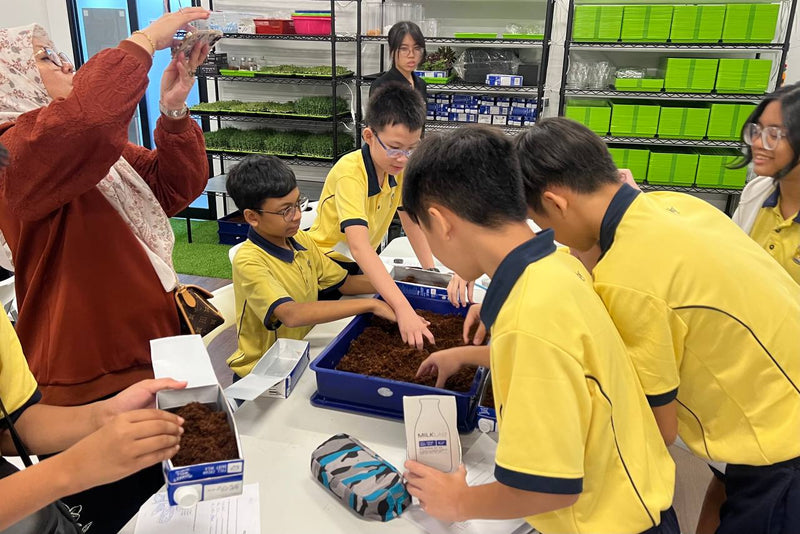 How to Plan a School Farm Learning Journey in Singapore