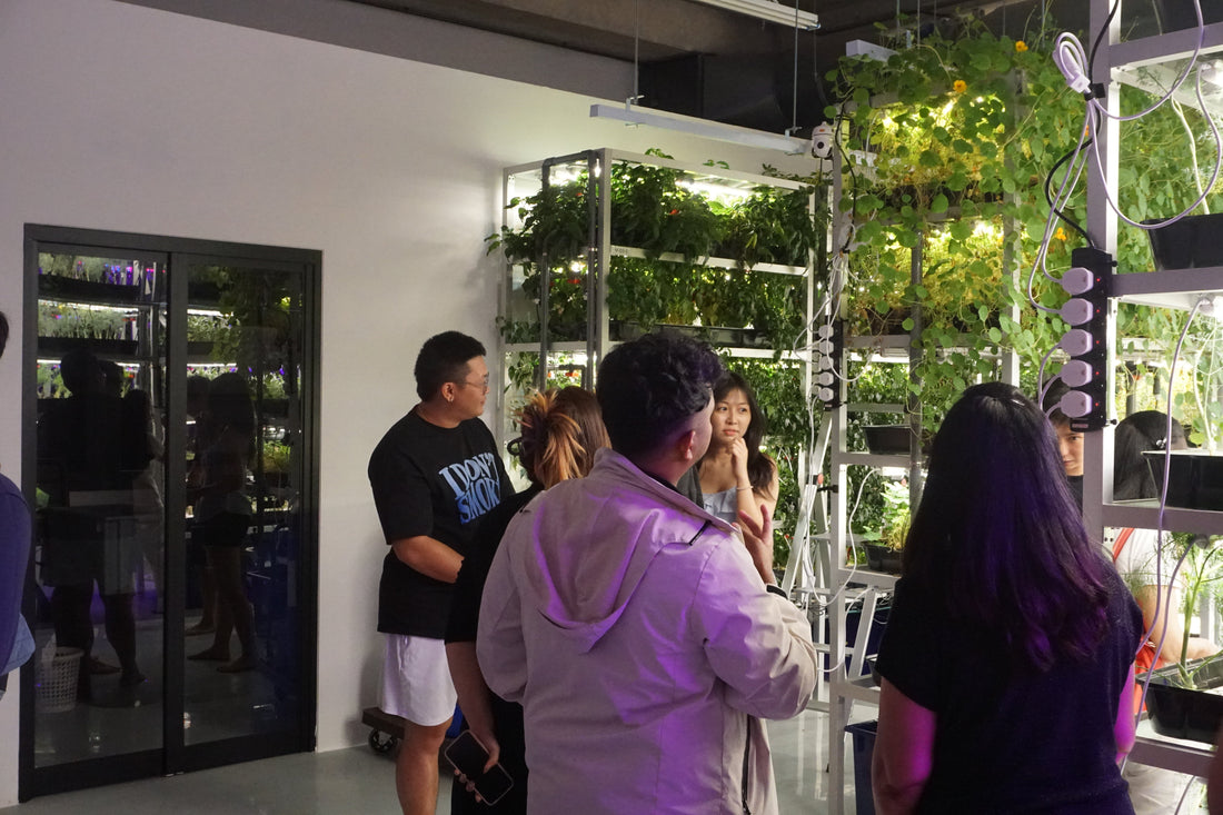 What is Vertical Farming? In a Singapore Context