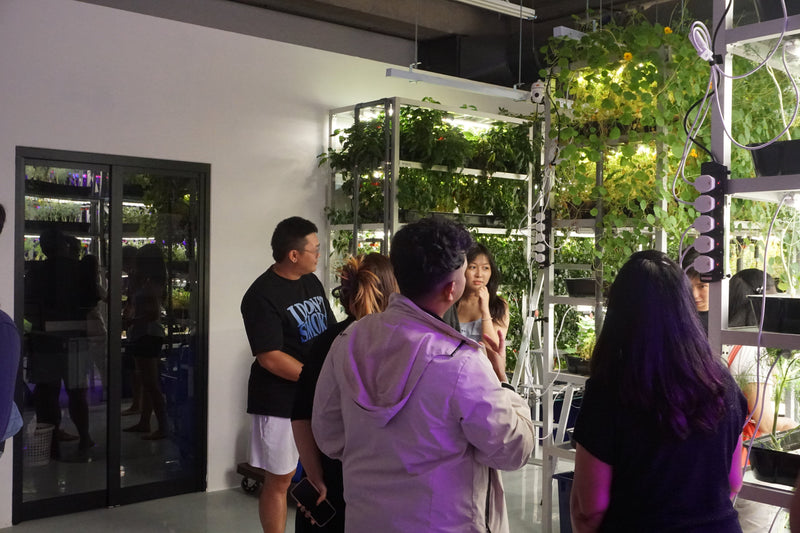 What is Vertical Farming? In a Singapore Context