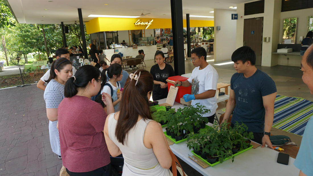 Rethinking Our Relationship with Food in Singapore