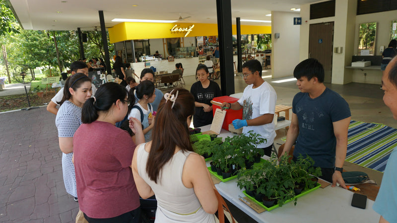 Rethinking Our Relationship with Food in Singapore
