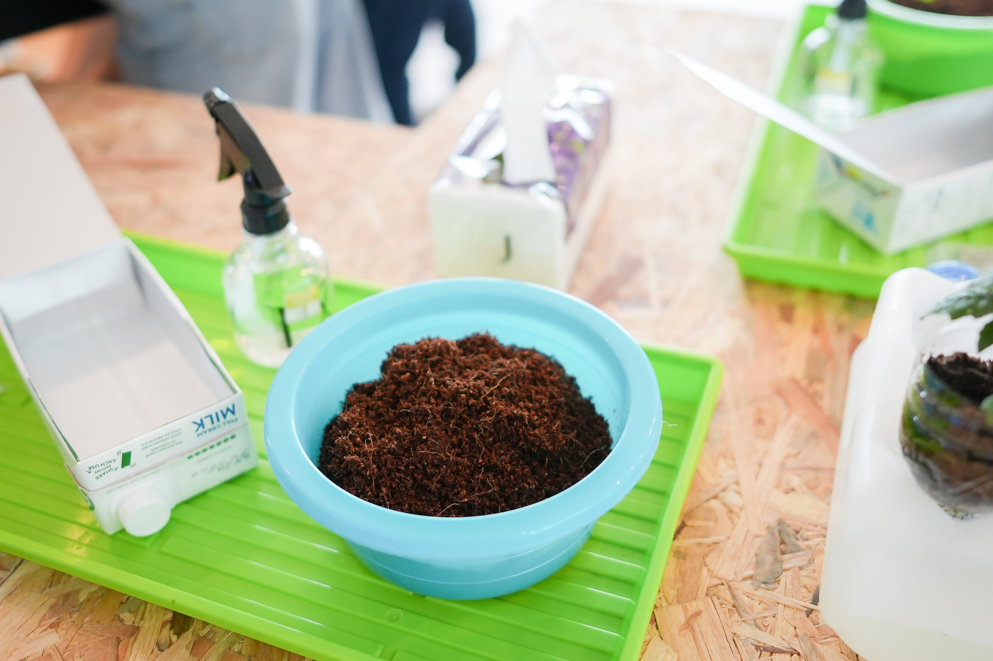 DIY planting kit at GreenLoopFarms corporate event