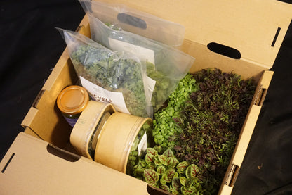 Box of packaged leafy greens, herbs, and microgreen pots