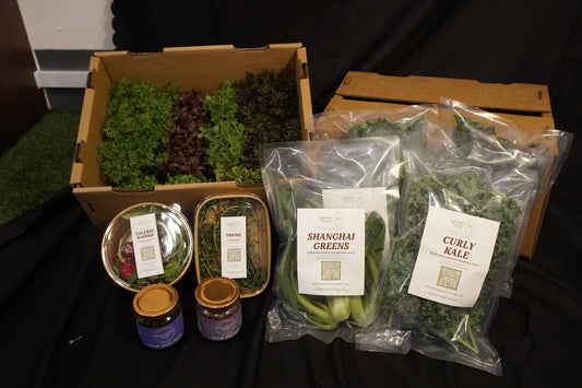 Harvest Box - Plus