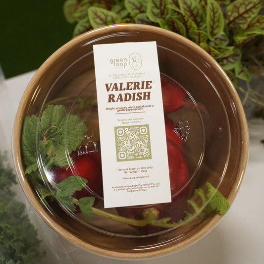 Box of Valerie Radishes