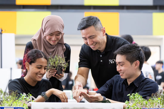 Farm Tours in Singapore | Educational & Hands-On Urban Farming ...
