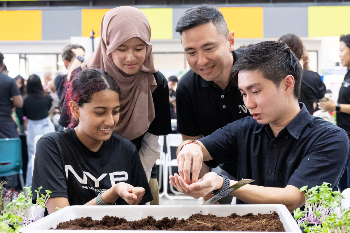 Participants handling seedlings during a session at GreenLoopFarms, Singapore
