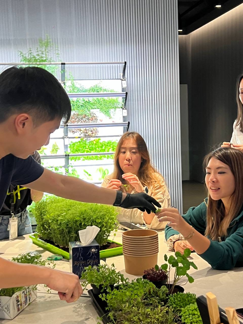 Microgreens tasting session during corporate event