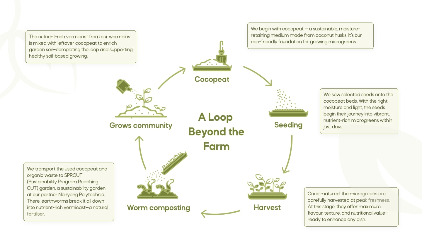 Bundle Boxes – greenloopfarms