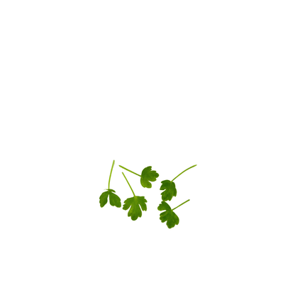 Celery - greenloopfarms
