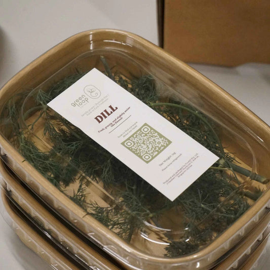 Living dill herb in a GreenLoop Farms pot with a QR-coded traceability label, grown in Singapore