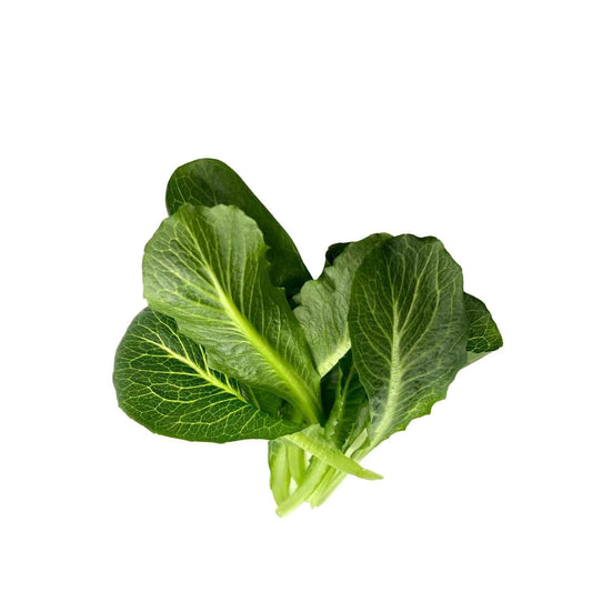 Farmer's Choice salad lettuce mix with loose green and red leaves, grown at GreenLoop Farms Singapore