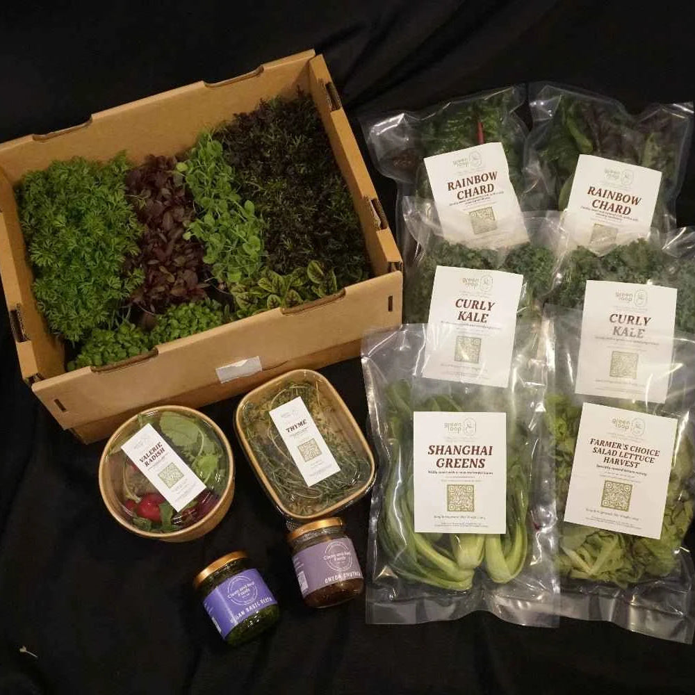 Harvest Box - Plus