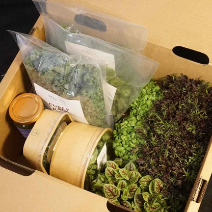 Harvest Box - Starter
