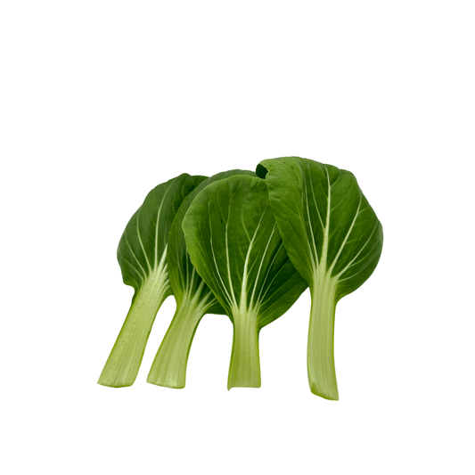 Shanghai Green - greenloopfarms