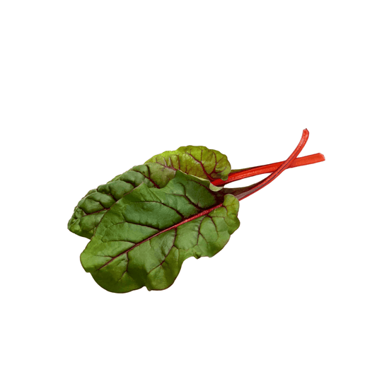 Swiss chard with broad green leaves and pale stems, grown indoors at GreenLoop Farms in Singapore