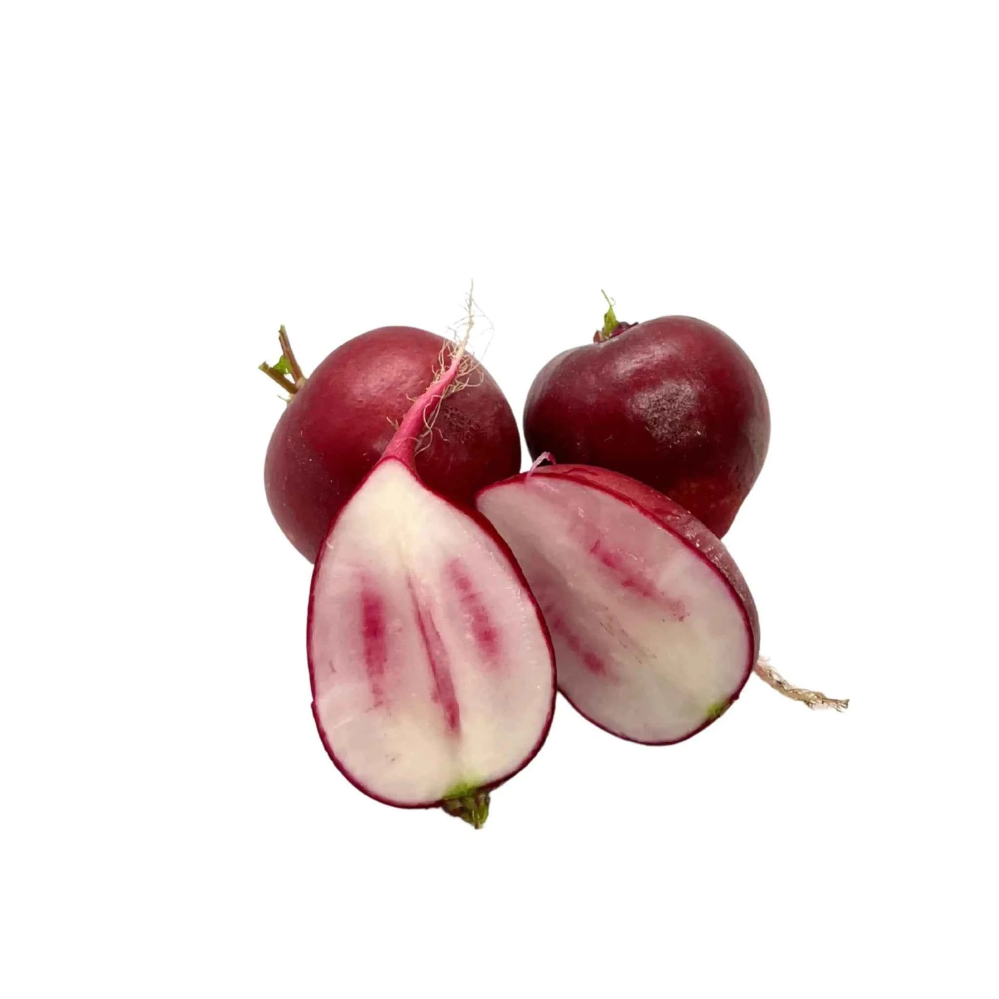Valerie Radish