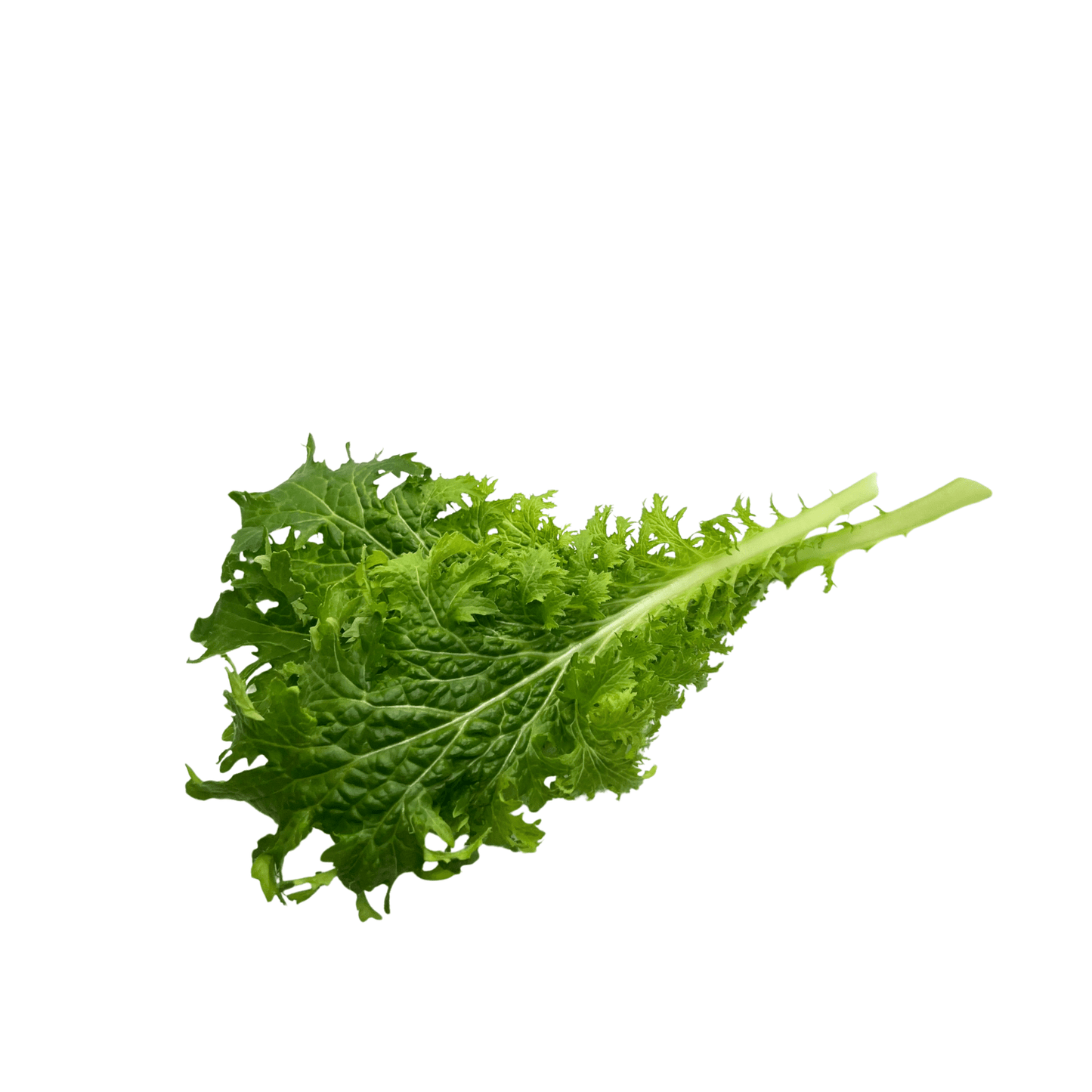 Wasabina Mustard - greenloopfarms